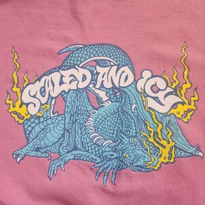 21 Pilots-Scaled & Icy-Pink Dragon Hoodie-2 Sided Graphic-Flames-Y2K-Skater-OS L